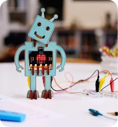 Electric Robot
