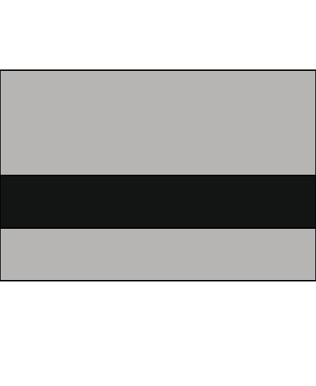 Vintage Silver/Black color swatch