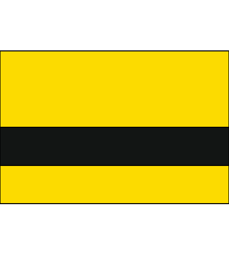 Safety Yellow/Black color swatch