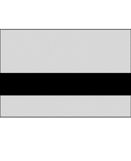 Smooth Silver/Black color swatch