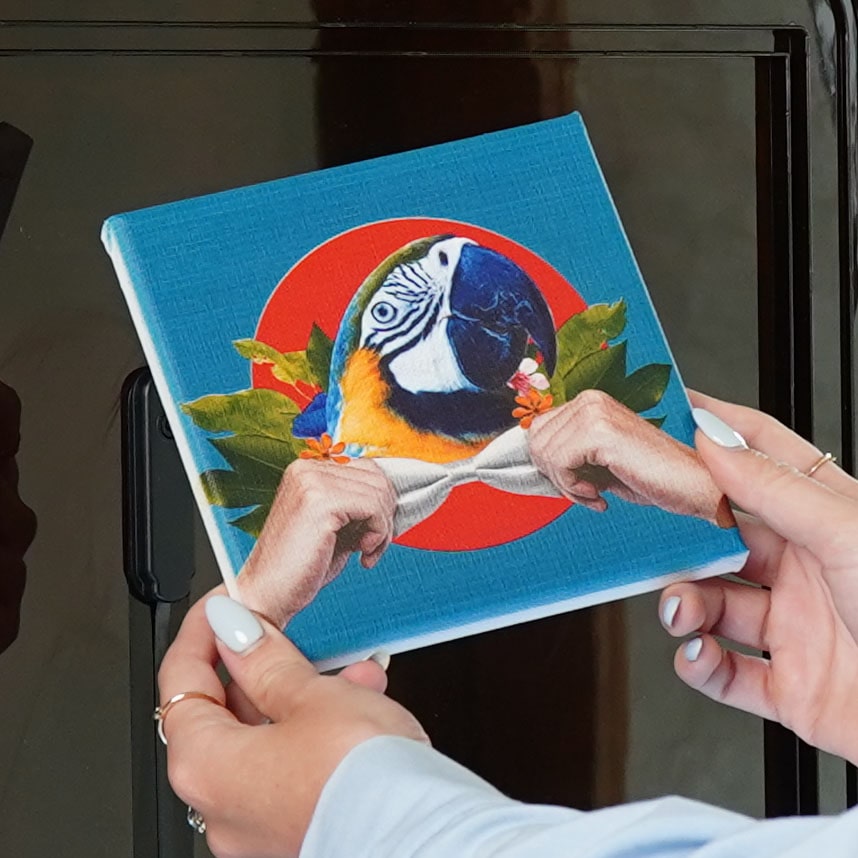 Canvas print of parrot