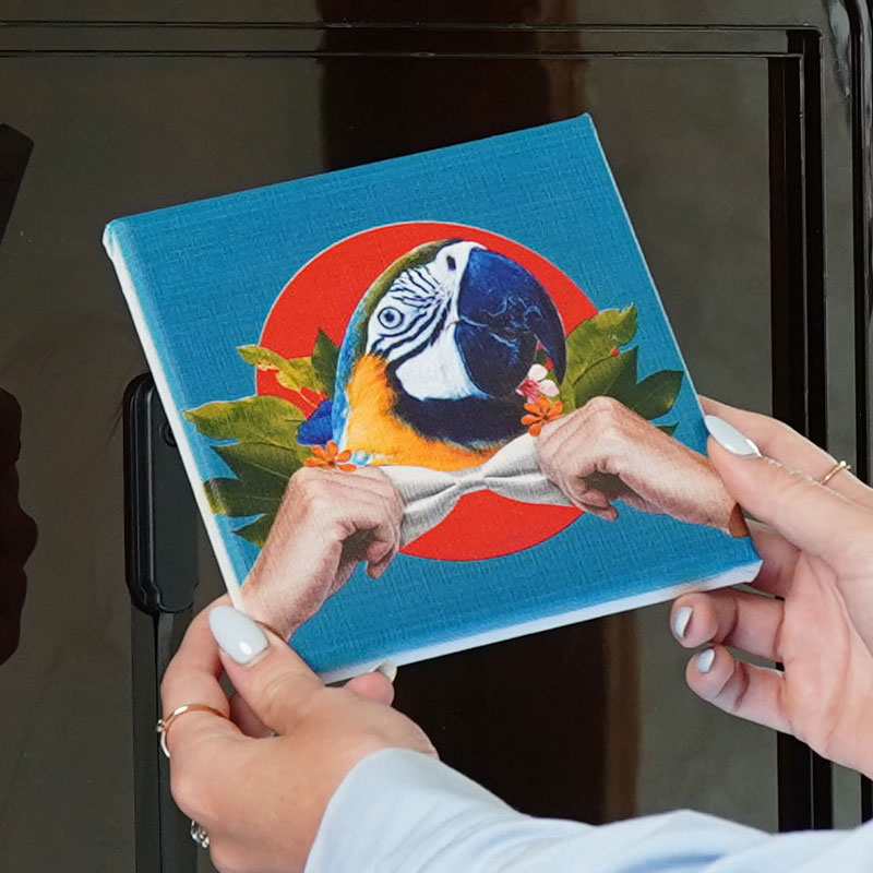 Canvas print of parrot