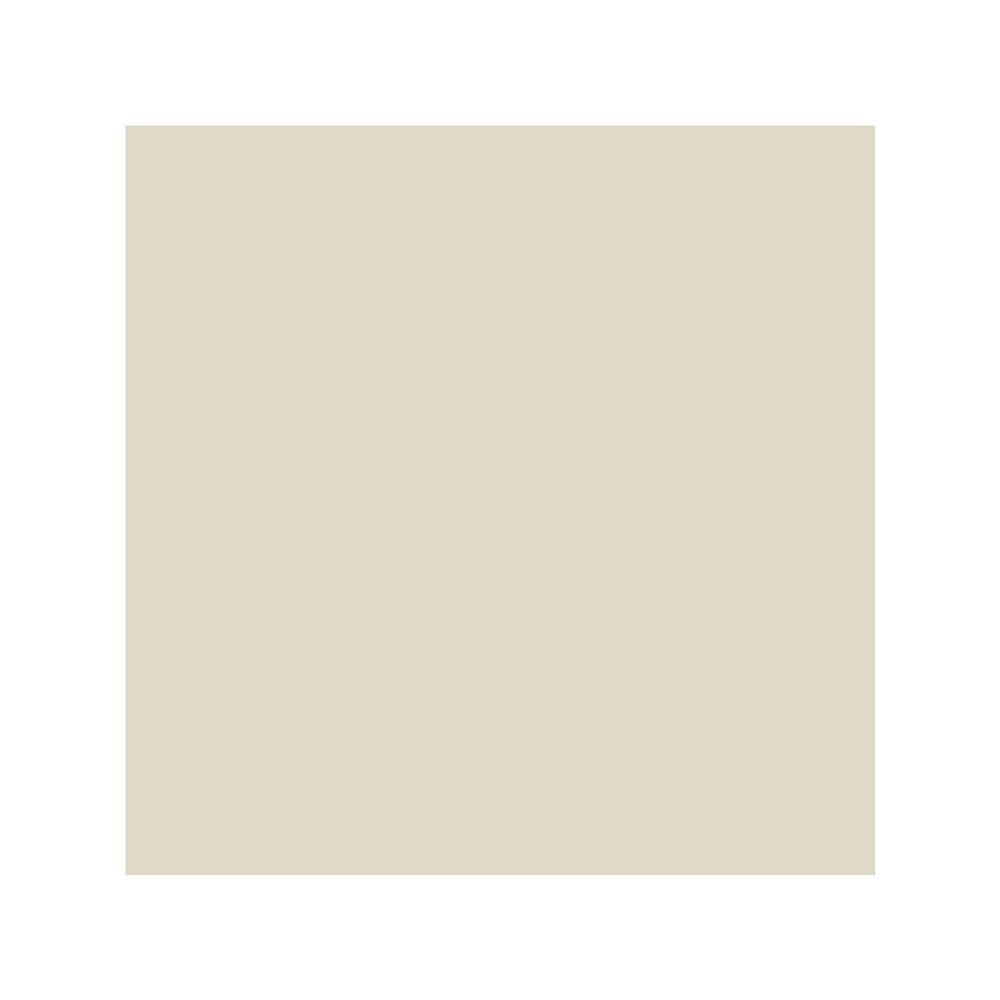 Light Grey Color Swatch