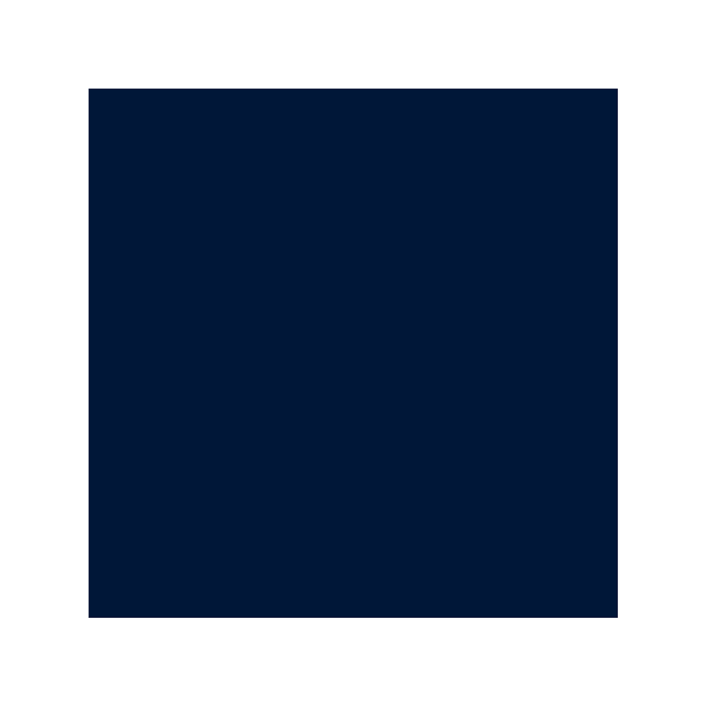 navy blue color swatch