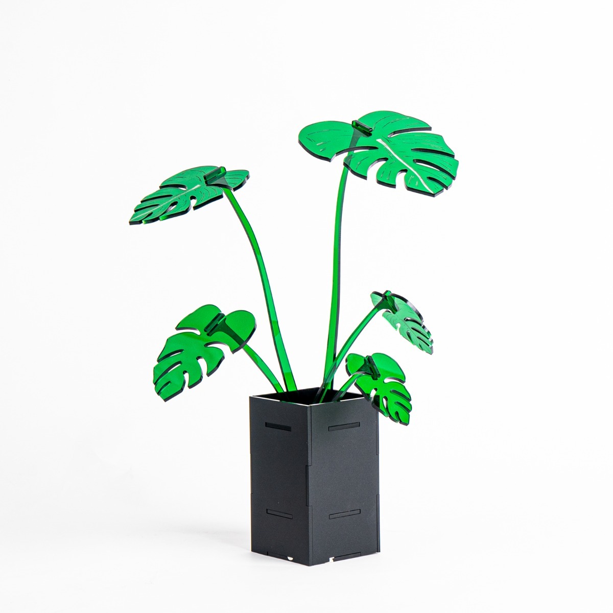 Acrylic plant
