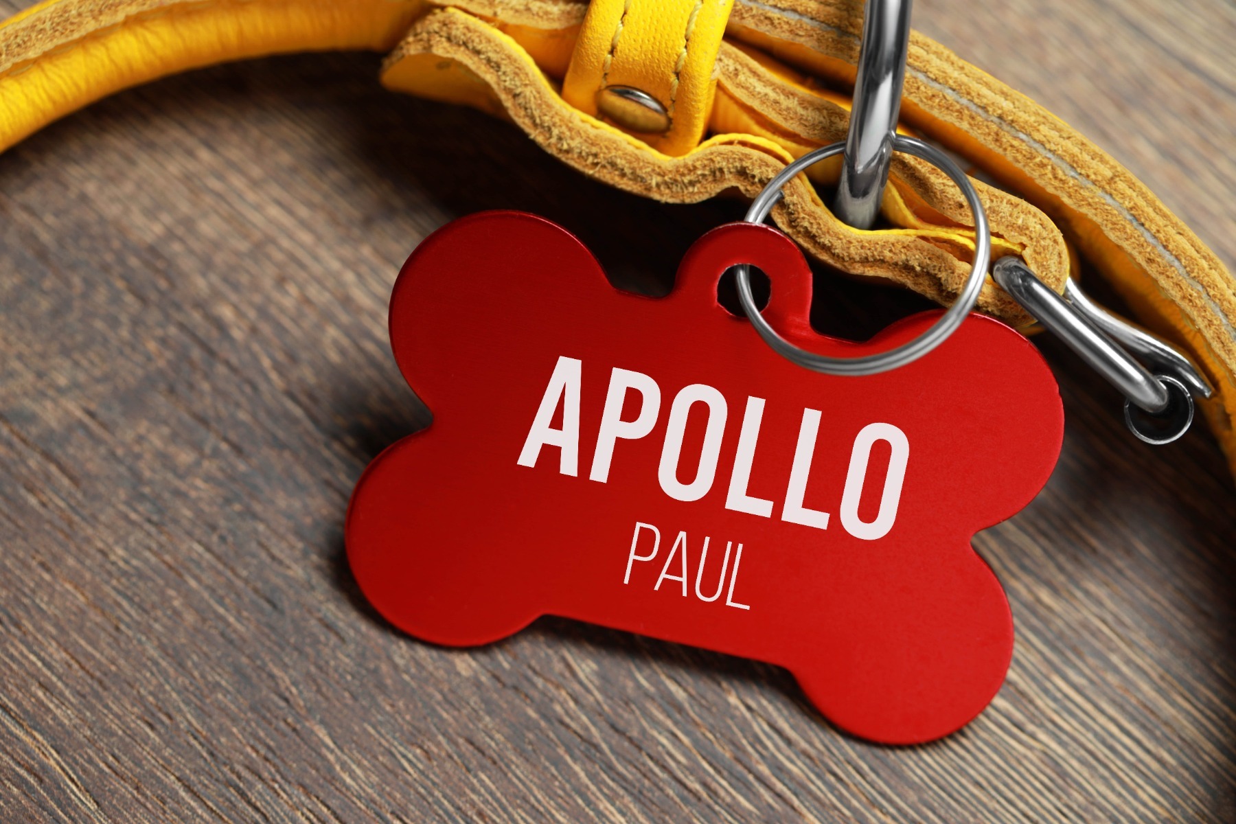 Bone shaped dog tag