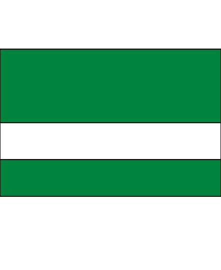 Bright Green/White color swatch