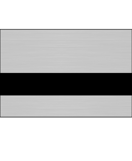 Brushed Silver/Black Color Swatch