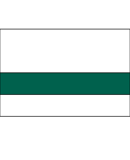 White/Pine Green Color Swatch