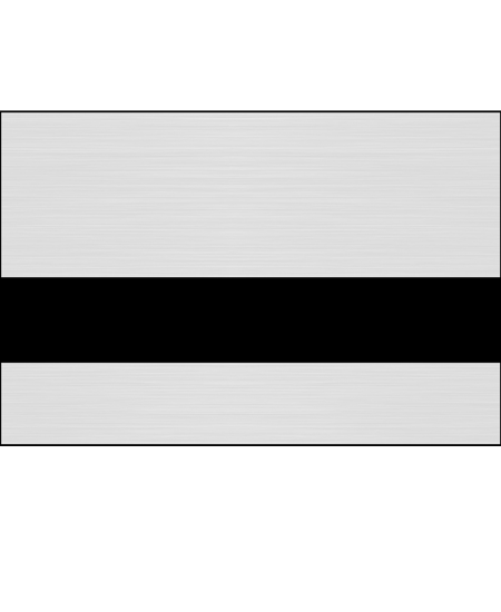 Brushed Aluminum/Black Color Swatch