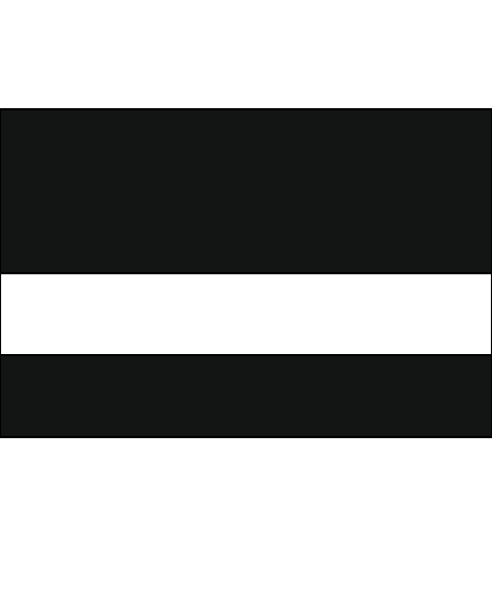 Gloss Black/White Color Swatch
