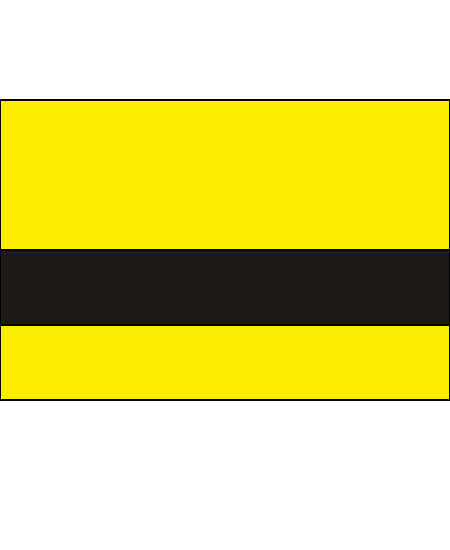 canary and black color swatch