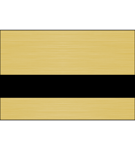 Brushed European Gold/Black Color Swatch