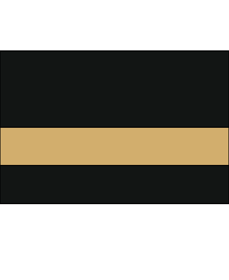 Matte Black/Gold Color Swatch