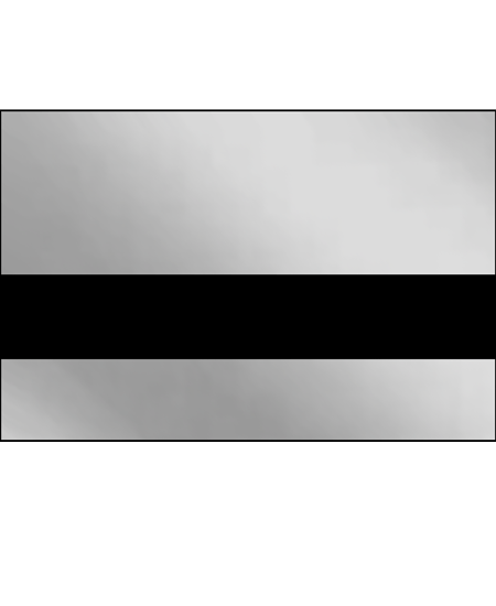 Chrome/black color swatch