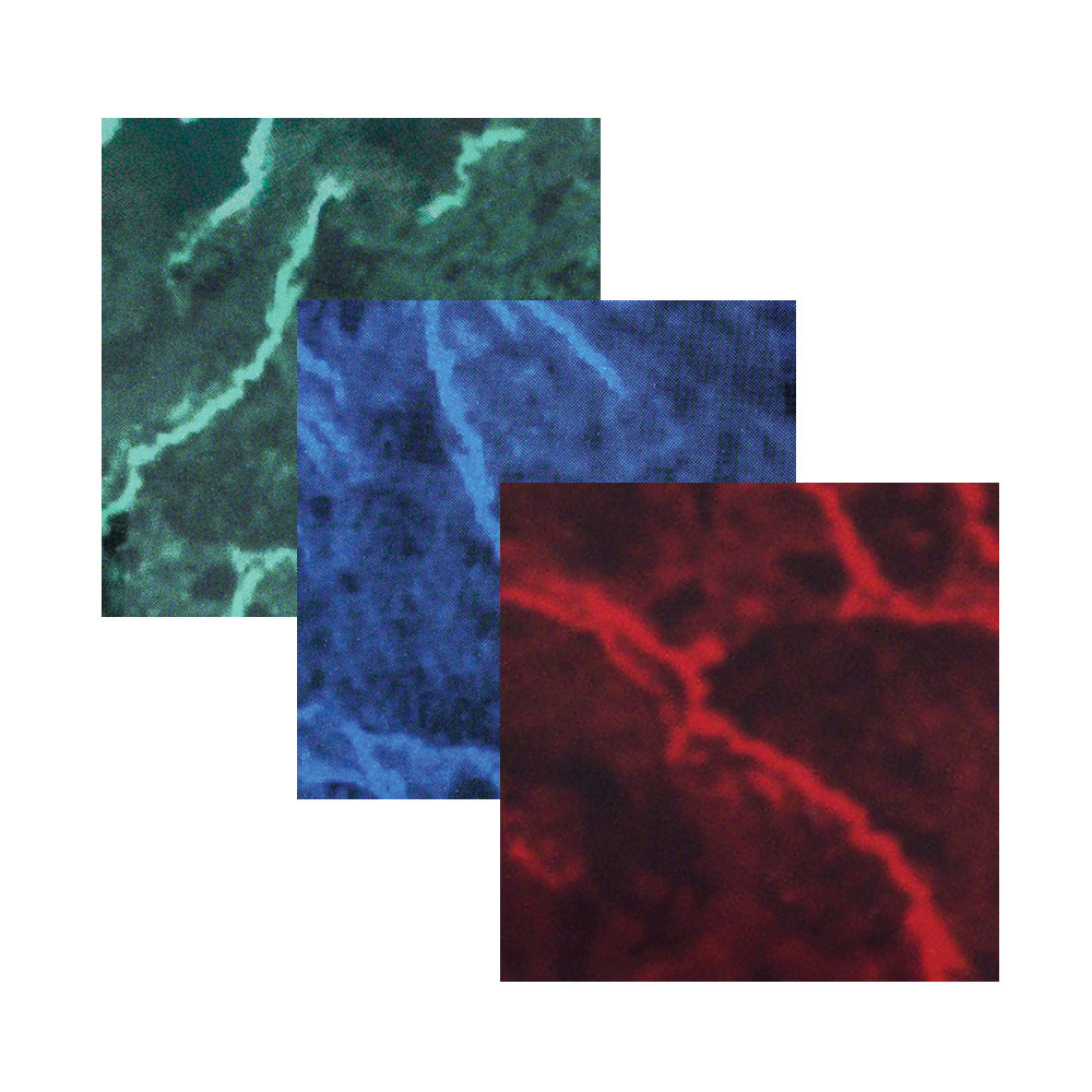 Marble Cell 1/8