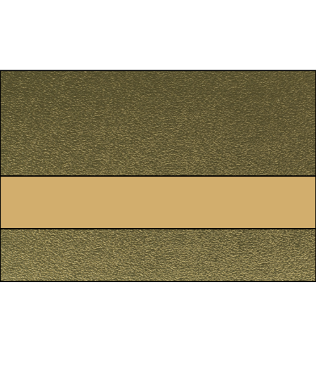 Textured Gold/Gold color swatch