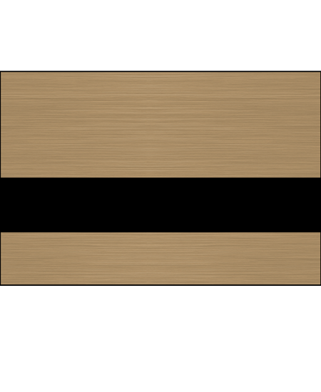 Copper Penny/Black color swatch