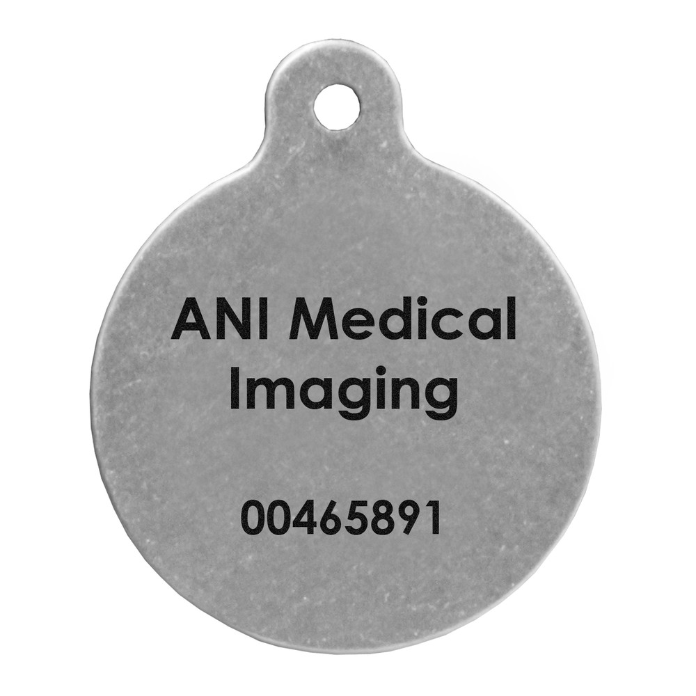 1-3/8" Stainless Steel Circle Tag with Ring Top