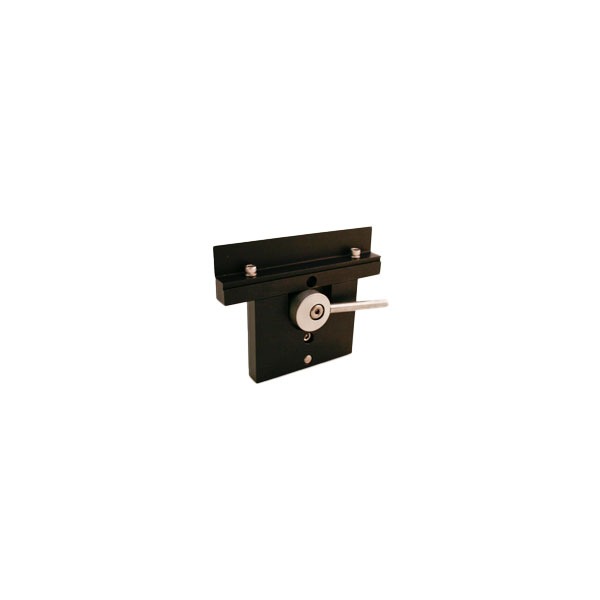 quick locking vice
