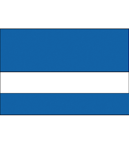 Blue/white color swatch
