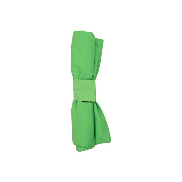Green Reuseable Multi-Purpose Bag PKG - 4/PKG