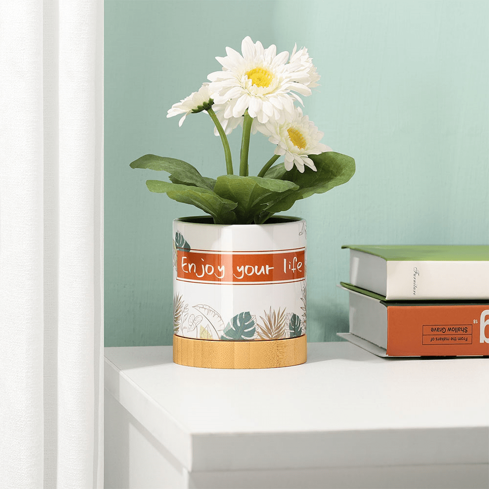 Planter with white flowers on shelf