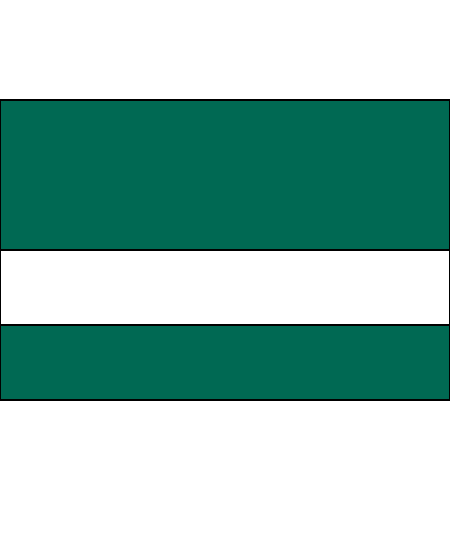 Matte Pine Green/White Color Swatch