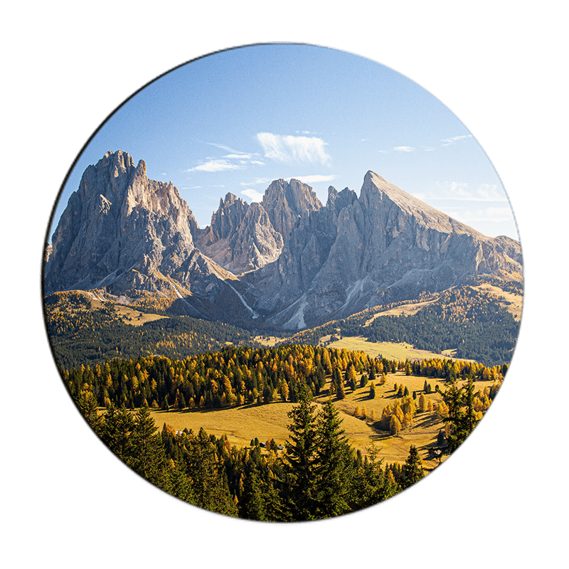 round coaster with picture of nature