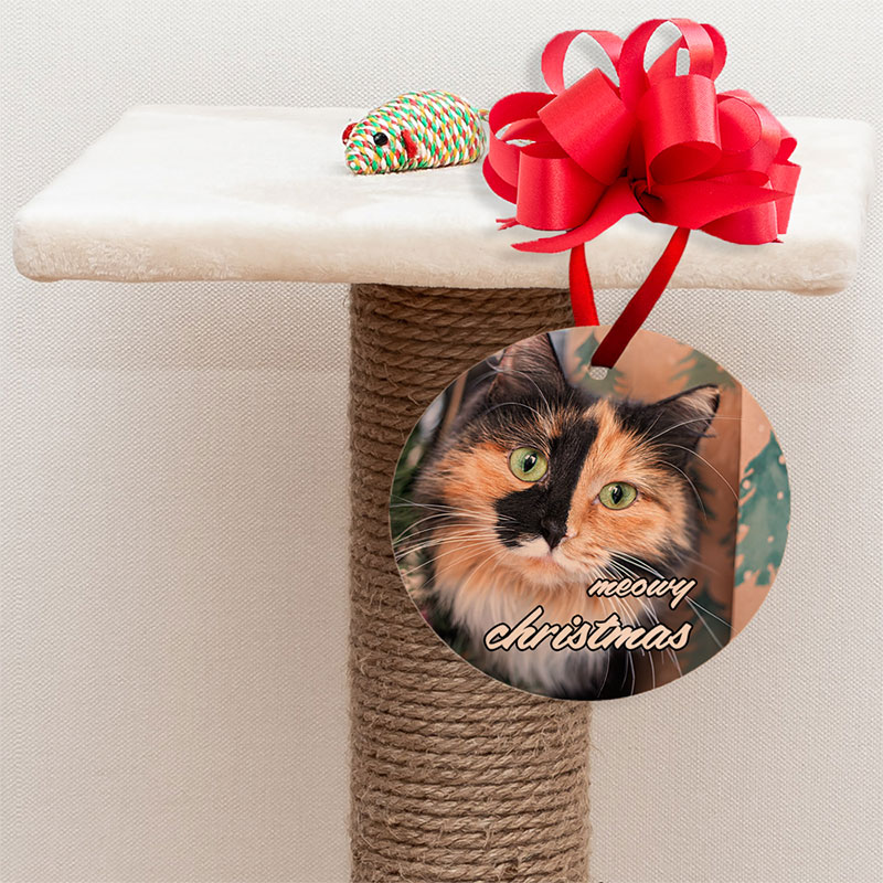ornament on cat tree