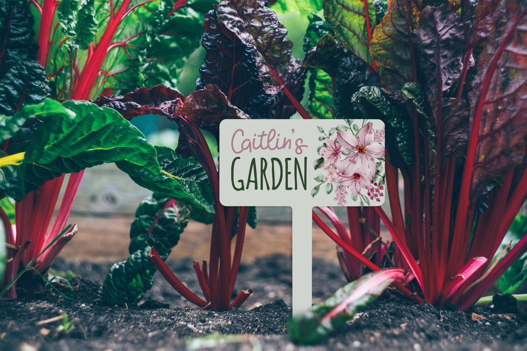 Garden stake in garden