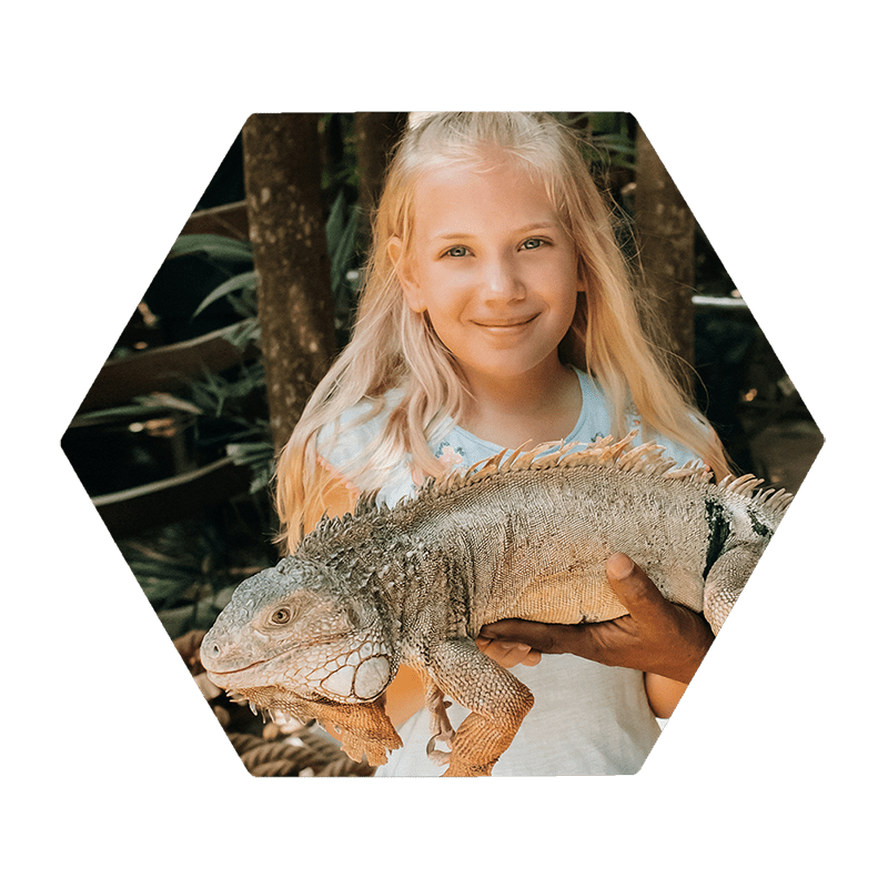 Hexagon Hardboard Wall Tile printed with a girl holding a reptile