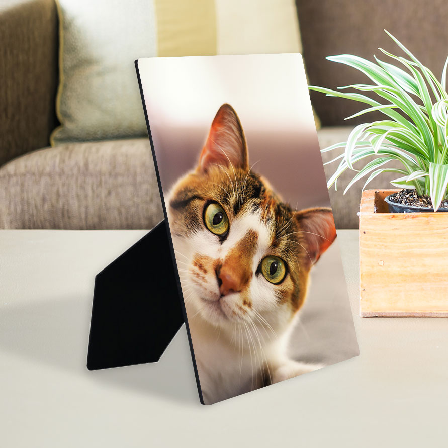 ChromaLuxe Flat Top Hardboard Photo Panel with Easel | JPPlus